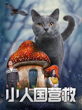 1080P未删减版在线观看