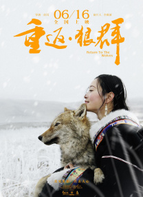 高清影视